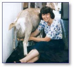 A lot of milk means a lot of milking